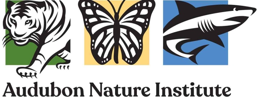Learn how New Orleans riverfront development projects, including the Audubon Nature Institute’s downtown park, are revitalizing public green space along the Mississippi River.
